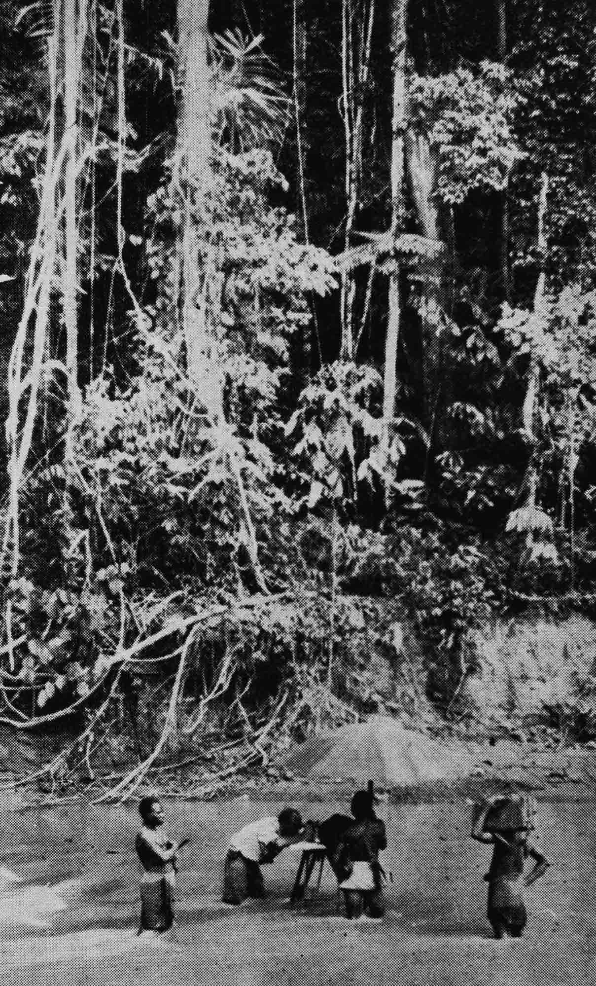 Black and white image showing four people standing in a river. One is using a surveying instrument.