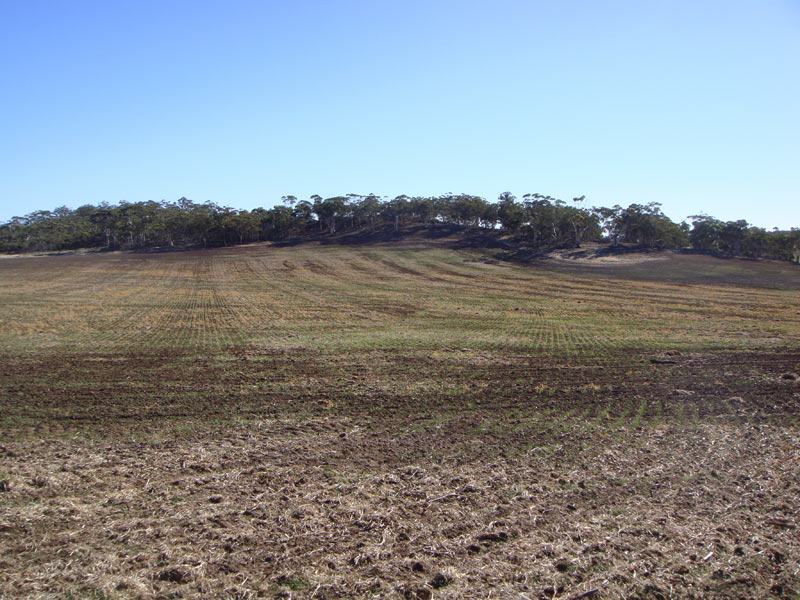 farmland