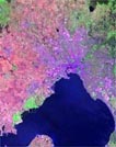 satellite image of the city you need to guess