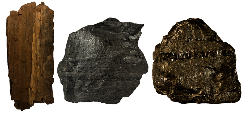 Three dark coloured rocks, one is brown and has a woody texture, one is gery black with layering and one is shiny bcooper colour with bands of shiny black material in it.