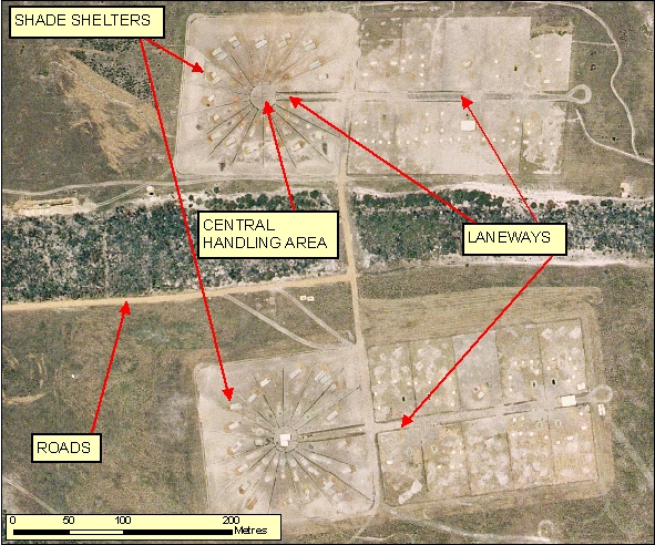 Figure: 2.7.1.7 Orthophotography 50cm RGB=123