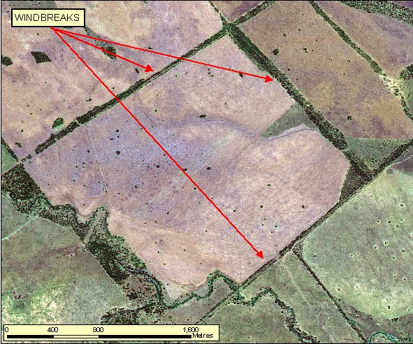 Figure: 2.5.5.1 SPOT Pseudo-natural 2.5m