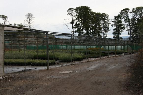 Figure: 2.1.6.3c Oblique Photography Shade Cloth Structures