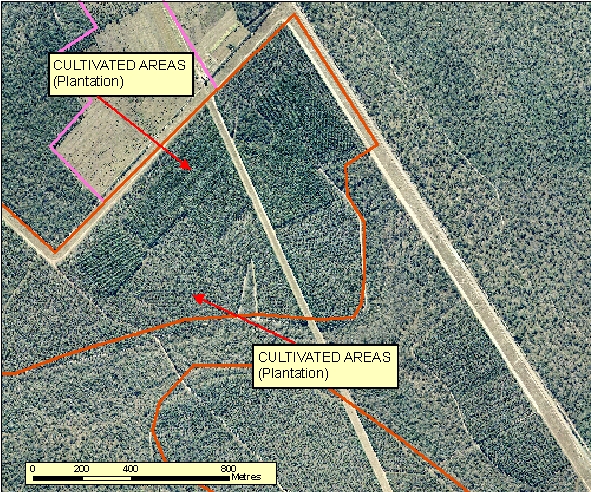 Figure: 2.5.2.2a Orthophotography 60cm RGB=123