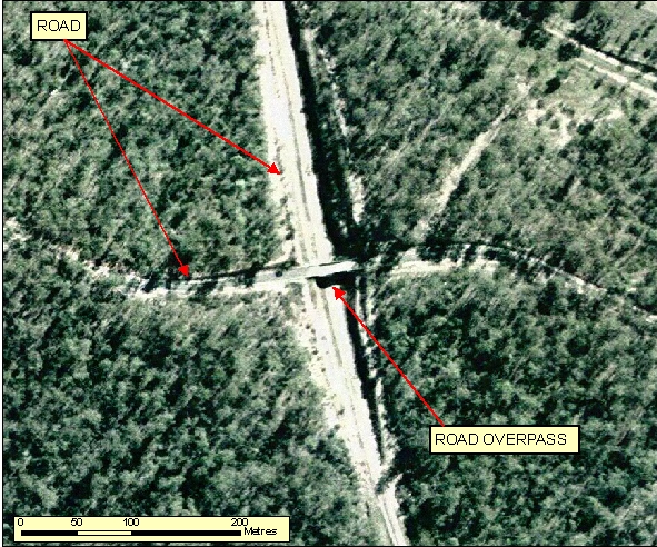 Figure: 2.2.7.1a Orthophotography 60cm RGB=123