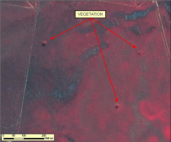 Figure: 2.3.7.1b SPOT 2.5m RGB=123
